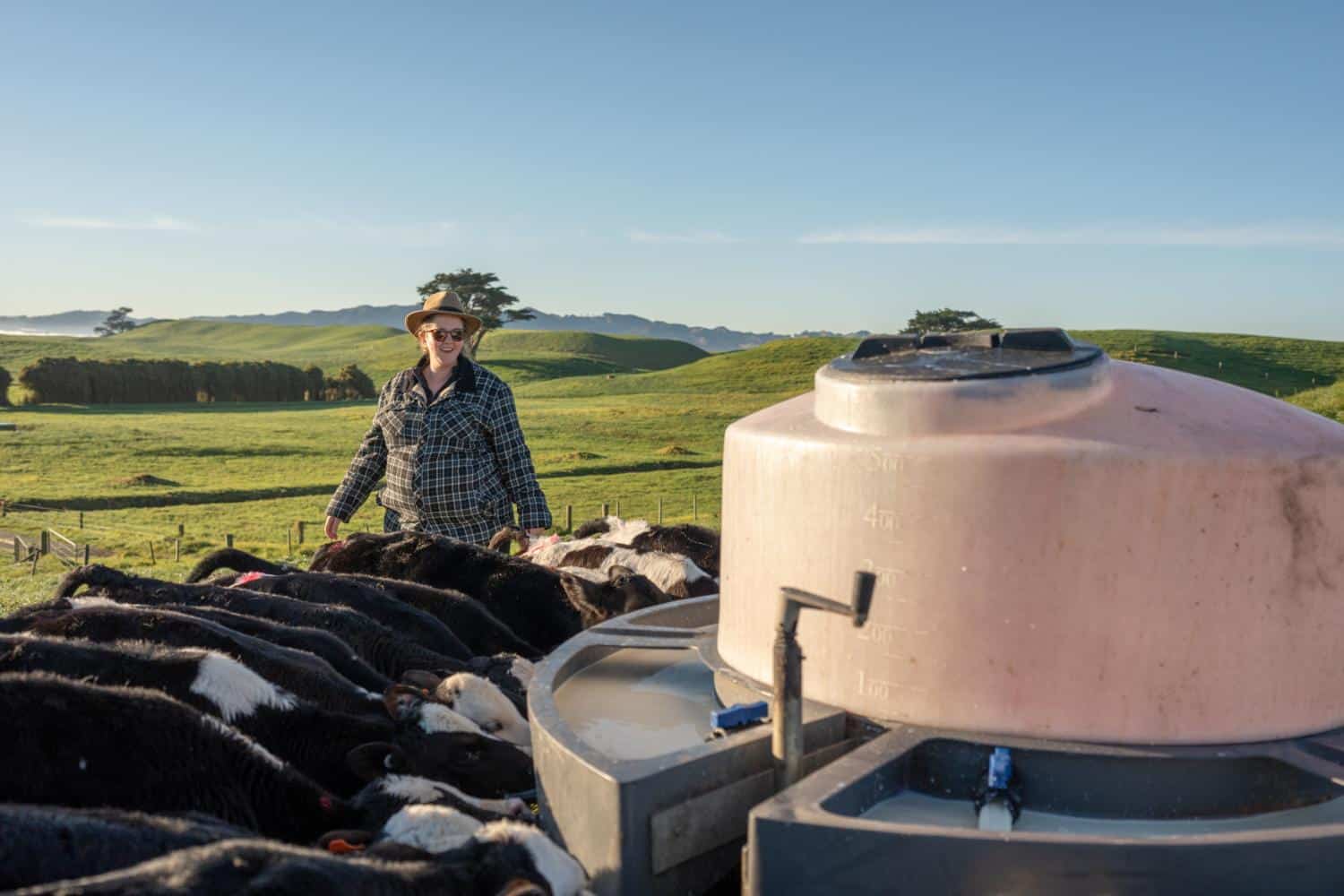 THRIVE + Bovatec for healthy calves on NZ farms