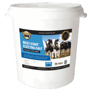 BEST-START<sup>TM</sup> ELECTRO-CALF <br>10 kg pail